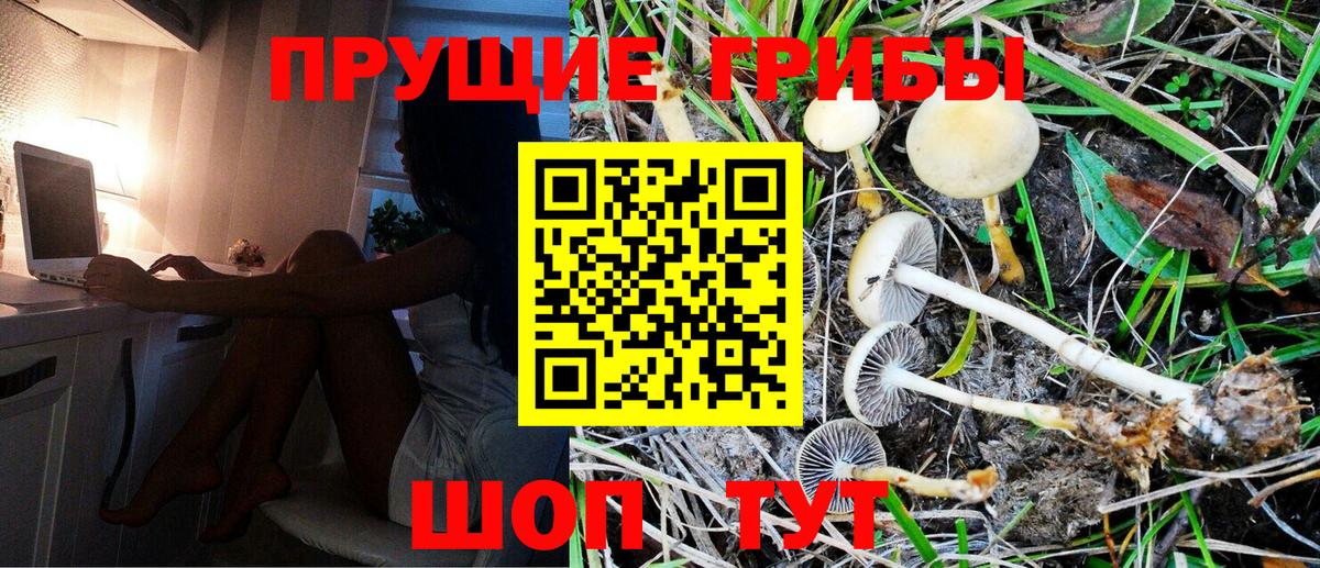 Ростов Великий  Галлюциногенные грибы MAGIC MUSHROOMS  Вход с VPN  Псилоцибиновые грибы Magic Shrooms 